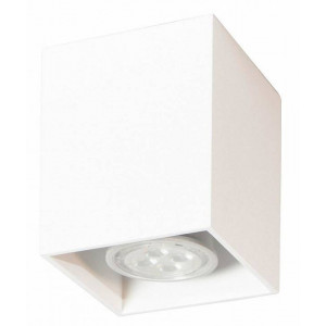 Накладной светильник TopDecor Tubo 6 SQ Tubo6 SQ P1 10 Накладной светильник TopDecor Tubo 6 SQ Tubo6 SQ P1 10