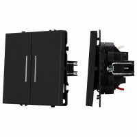 Выключатель двухклавишный без рамки Arlight SWT 054264