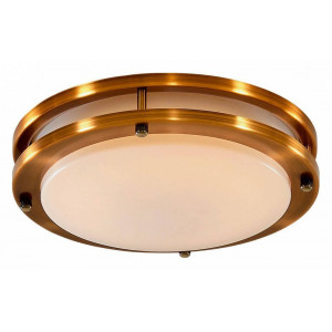 Светильник потолочный Citilux Бостон 20 Вт LED IP44 CL709203N