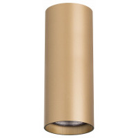 Накладной светильник Lightstar Rullo 214490