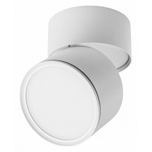 Накладной светильник Lightstar Acuto 215886
