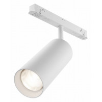 Светильник на штанге Maytoni Focus LED TR032-4-20WTW-M-DD2-W