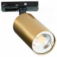 Светильник на штанге ST-Luce ST300 ST300.206.01