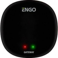 Интернет-шлюз Zigbee ENGO Smart EGATEZB