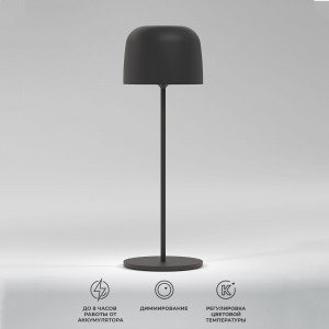 Светильник светодиодный настольный Bitty черный IP54 TL70260